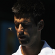 Illustration for article titled Deprived Of His Poodle, Serial Animal-Lover Novak Djokovic Seeks Companionship From Squirrel